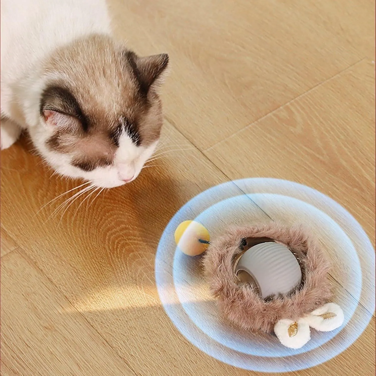Automatic rolling ball pet toy with string in grey, green, or red colours