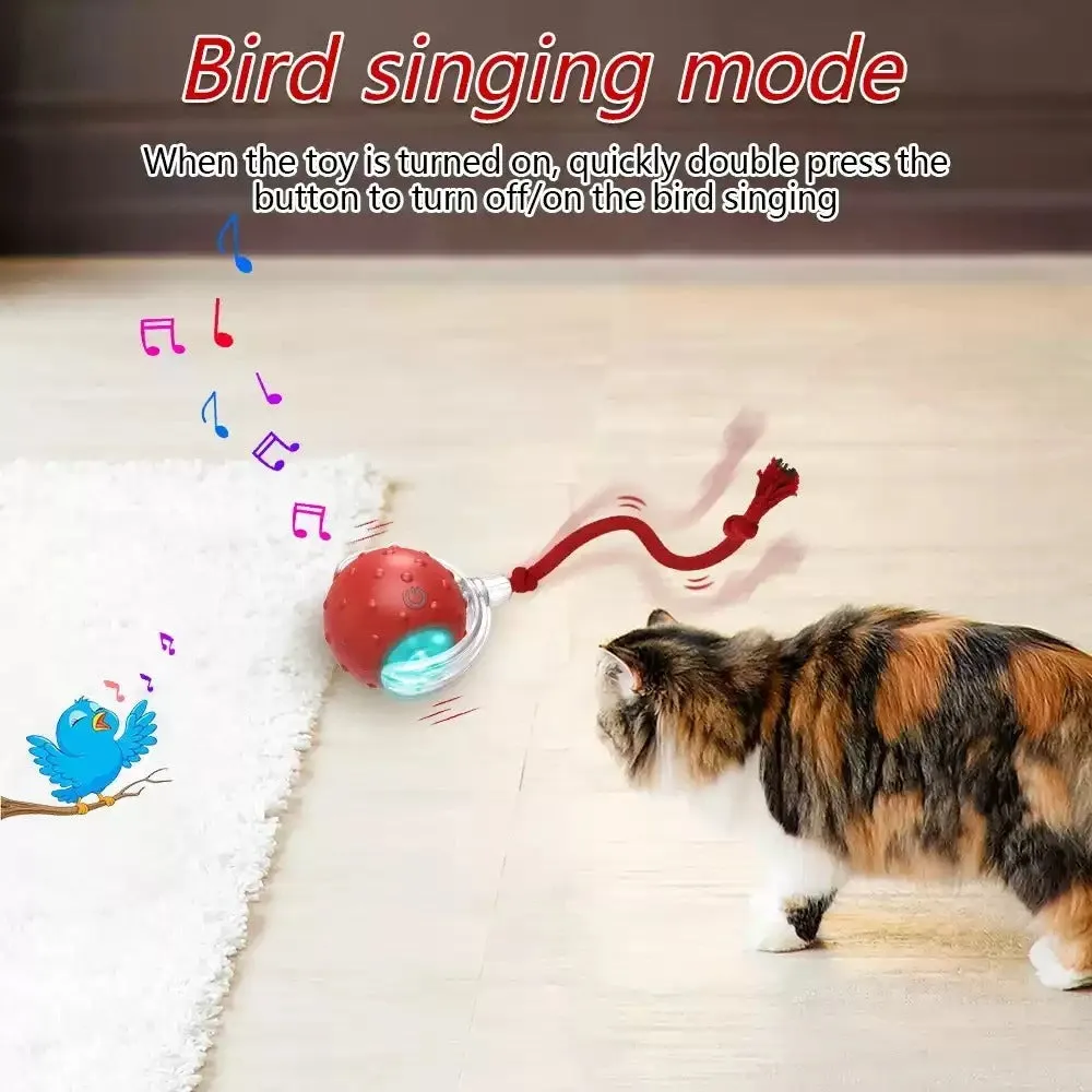 Red cat rolling ball toy with jingle bell for interactive indoor play with cats and kittens