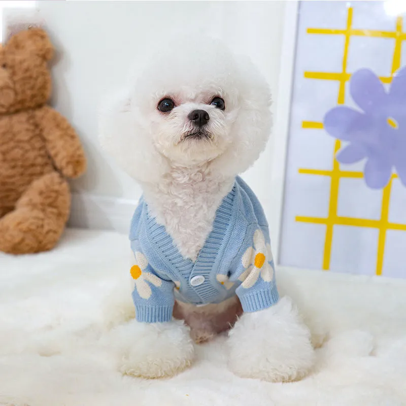 Blue polyester dog coat for a small Pomeranian on a white background.