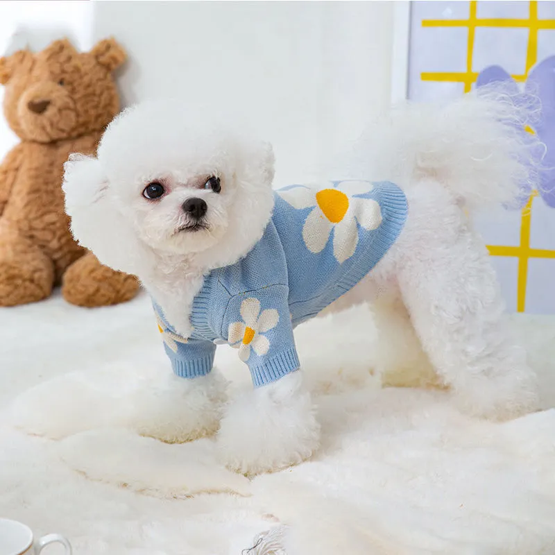 Blue polyester dog coat for a small Pomeranian on a white background.
