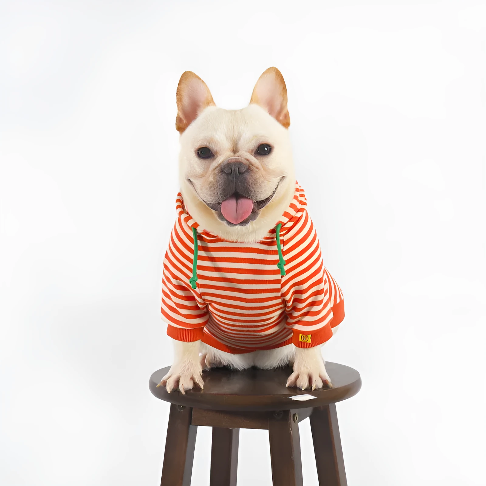 Orange cotton hooded sweater for small to medium sized dogs with Korean style design
