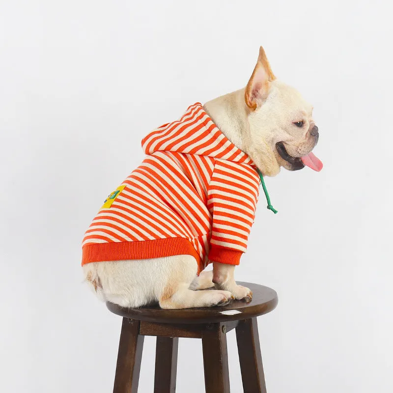 Orange cotton hooded sweater for small to medium sized dogs with Korean style design