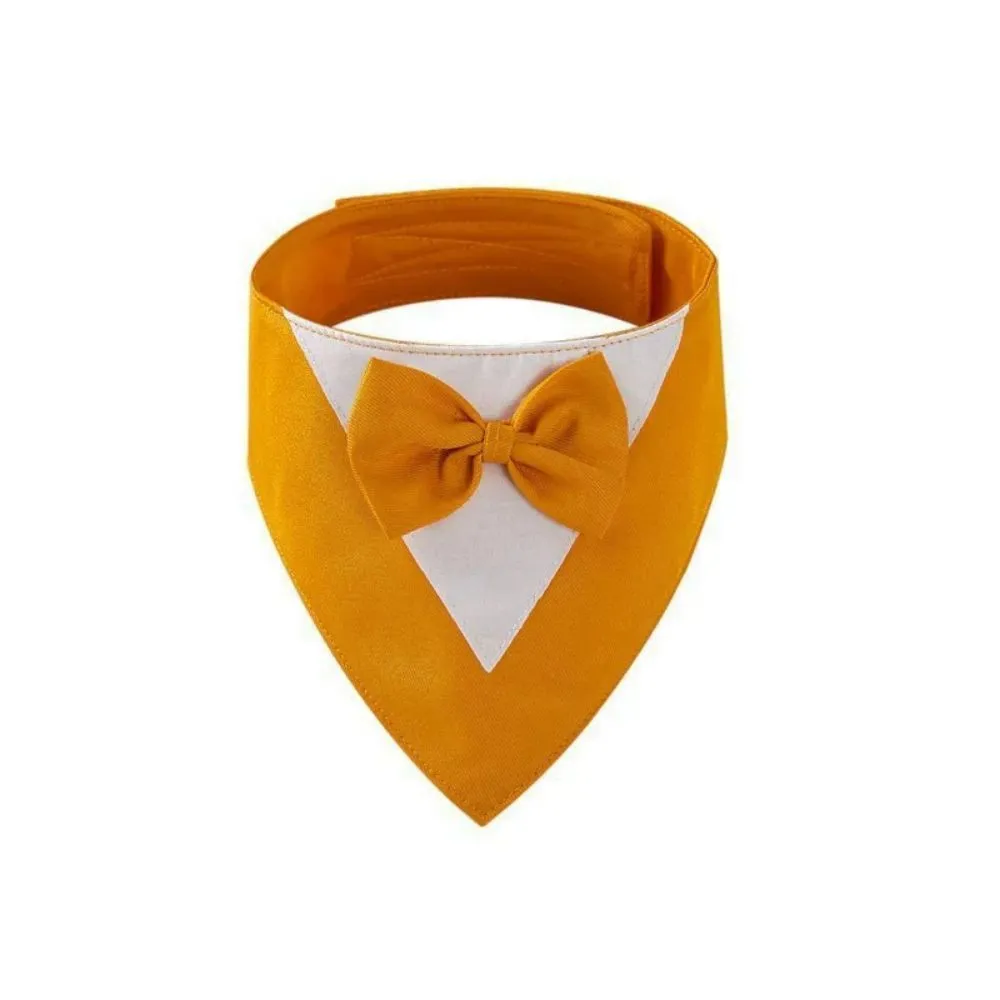 Colourful cotton dog bandana bib scarf with absorbent layer shown in multiple sizes on a collar.