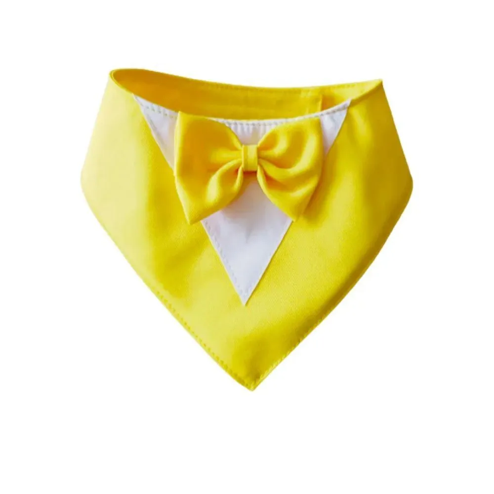 Colourful cotton dog bandana bib scarf with absorbent layer shown in multiple sizes on a collar.