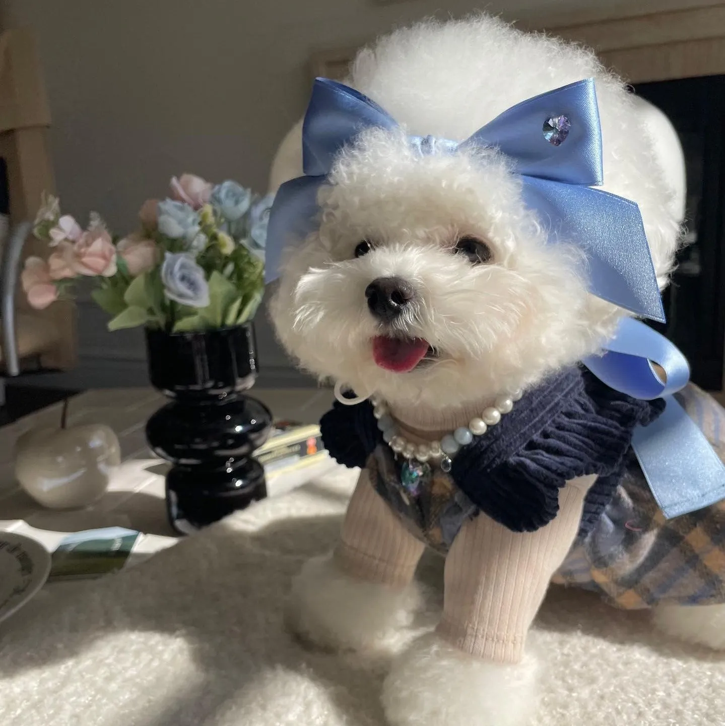 Blue princess-style adjustable bow hair band for dogs on a white background.