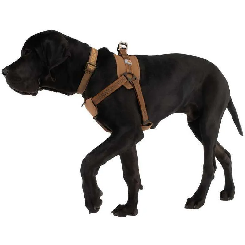 Adjustable dog training chest strap with reflective 1.8 metre hand holding rope in multiple sizes