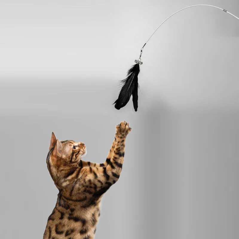 Telescopic cat fishing rod toy with goose feather attachment extended to full 80cm length