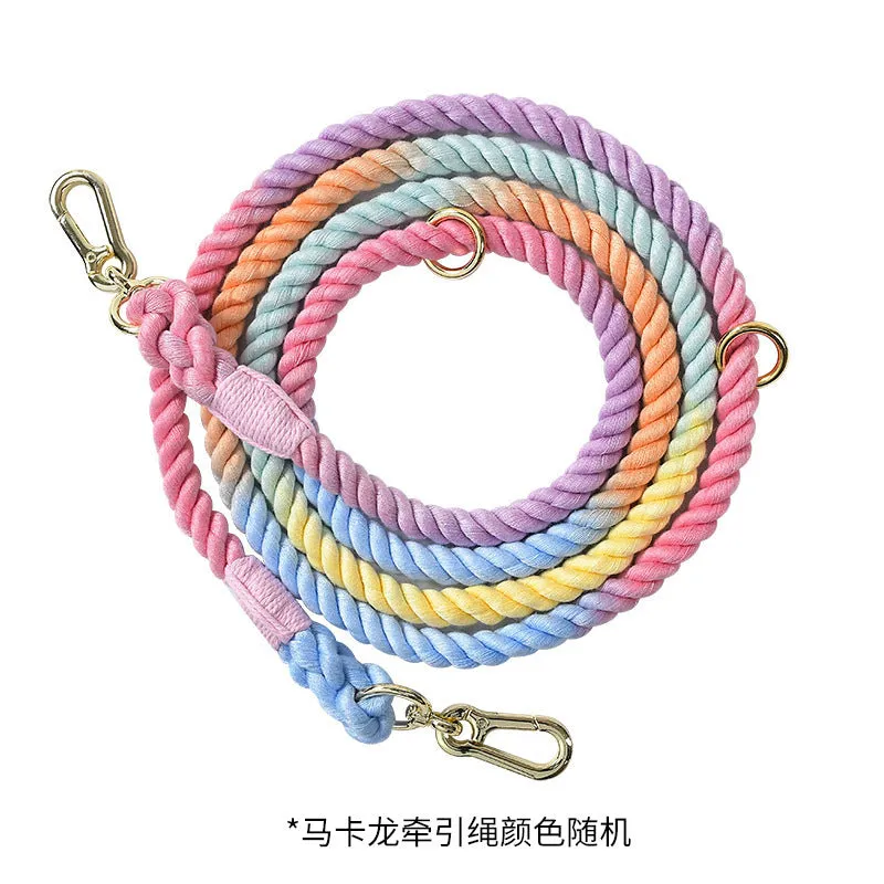 Woven rainbow pattern double-headed dog leash with metal fittings shown alongside mint green and blue purple colour options
