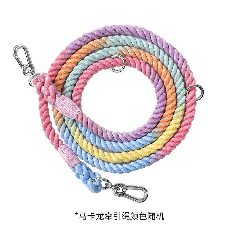 Woven rainbow pattern double-headed dog leash with metal fittings shown alongside mint green and blue purple colour options