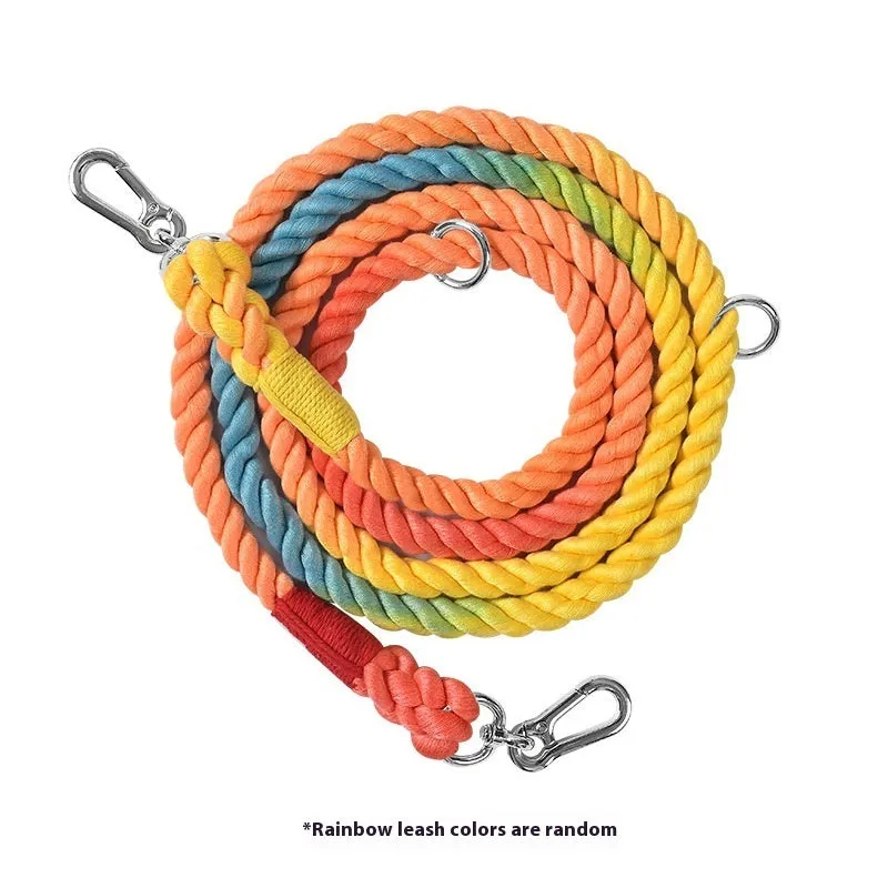 Woven rainbow pattern double-headed dog leash with metal fittings shown alongside mint green and blue purple colour options