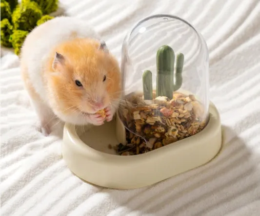 Hamster cactus automatic feeder with transparent 190ml food container in mint green colour