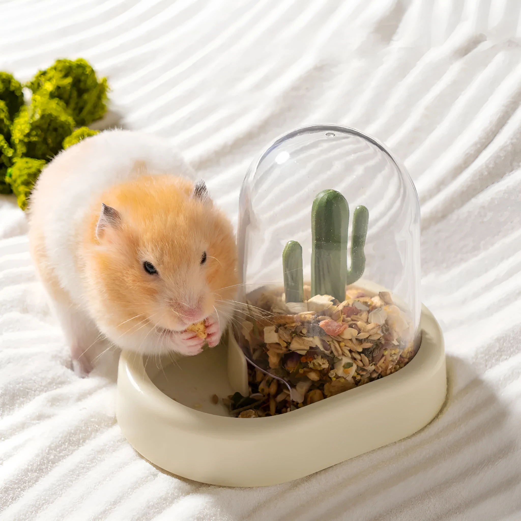 Hamster cactus automatic feeder with transparent 190ml food container in mint green colour
