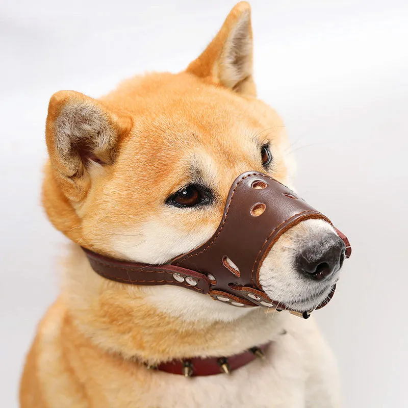Adjustable dog muzzle mouth cover for barking control and bite prevention in black
