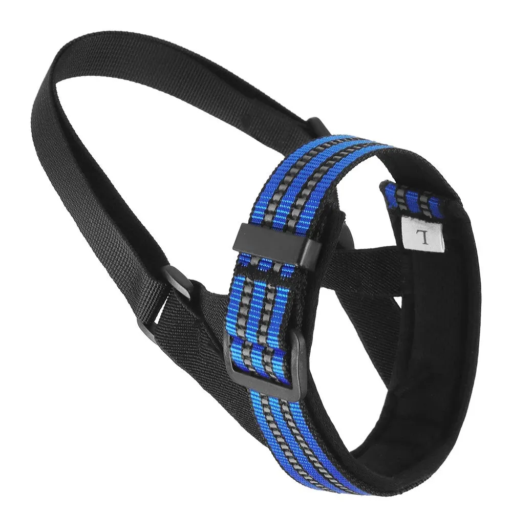 Adjustable black mesh dog muzzle with reflective strips and padded nose guard on a dog