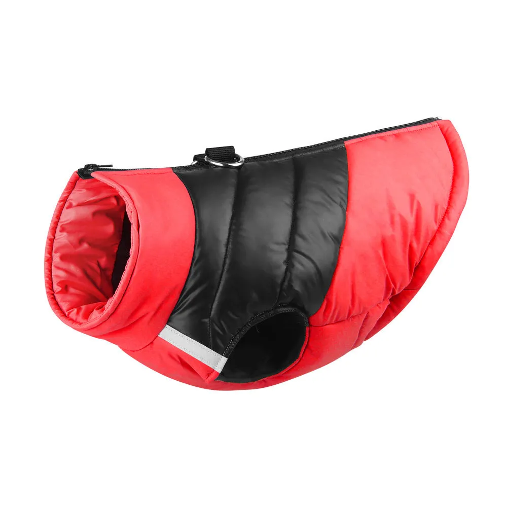 Waterproof padded dog jacket with front zipper in multiple colours for small to extra large dogs