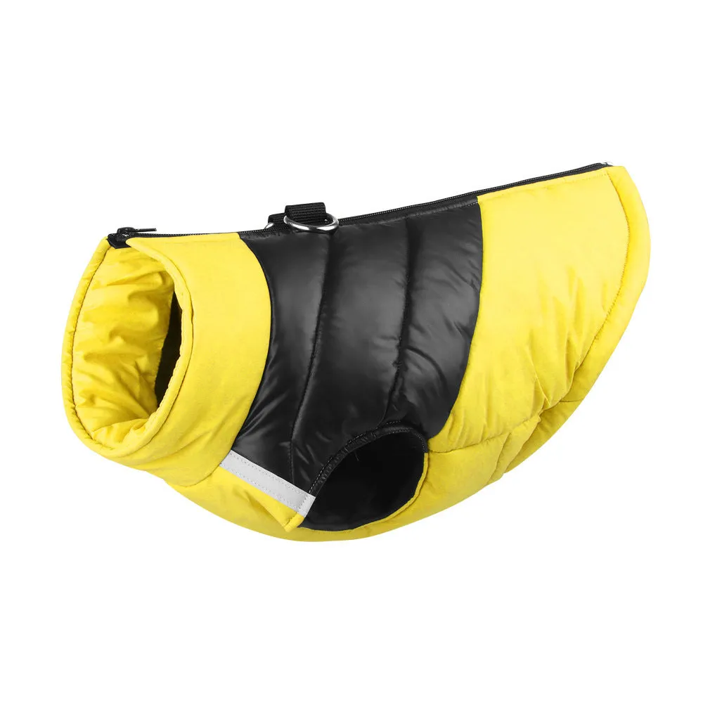Waterproof padded dog jacket with front zipper in multiple colours for small to extra large dogs