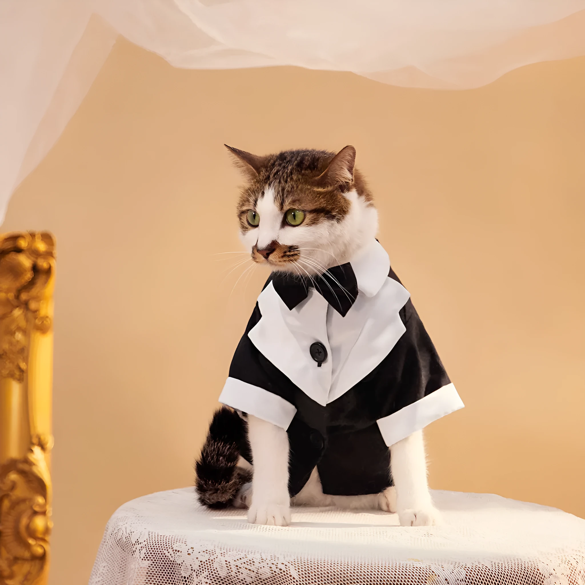 Chinese style four-legged gentleman wedding suit for dogs in polyester fabric