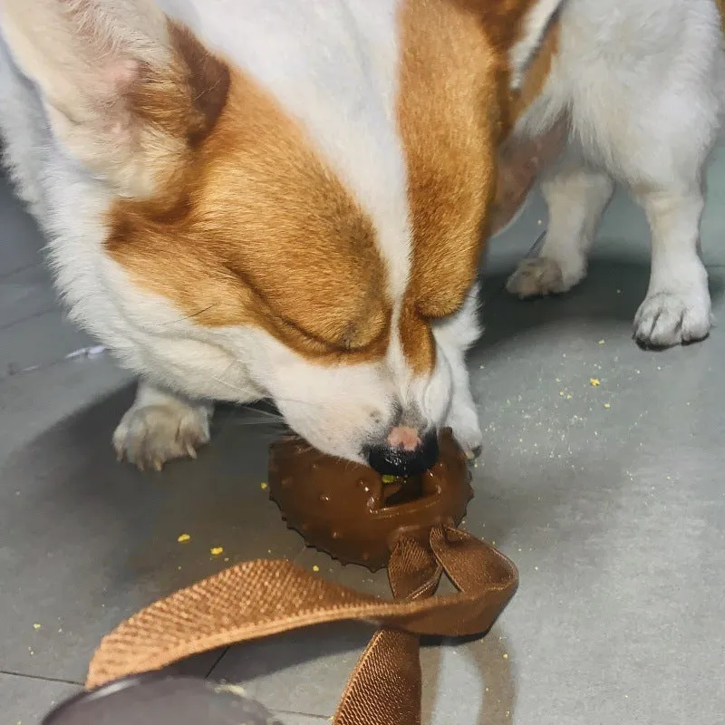Coffee bean shaped dog chew toy with TPR material, dental balls, and rope knots