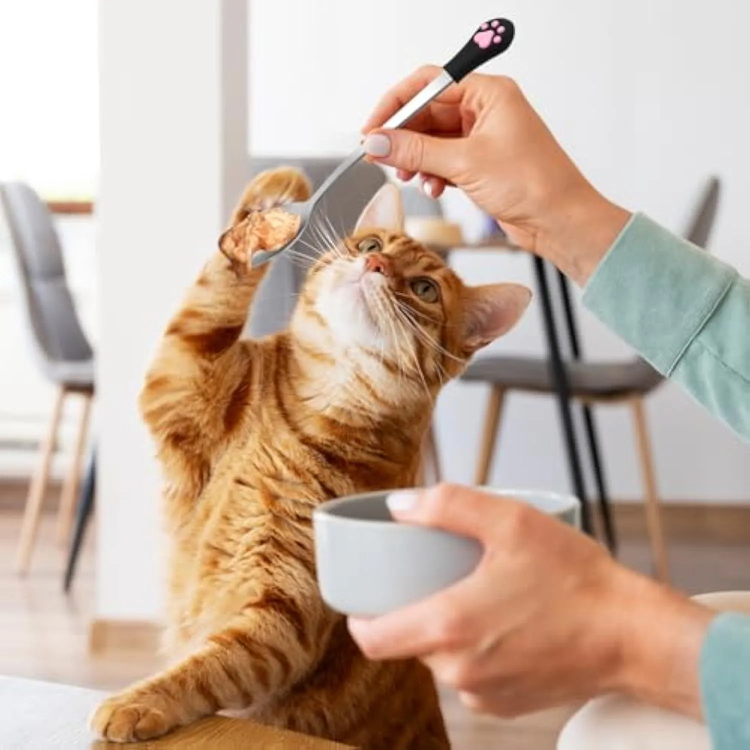 White and black stainless steel pet food spoons with silicone cat paw print handles on a table.