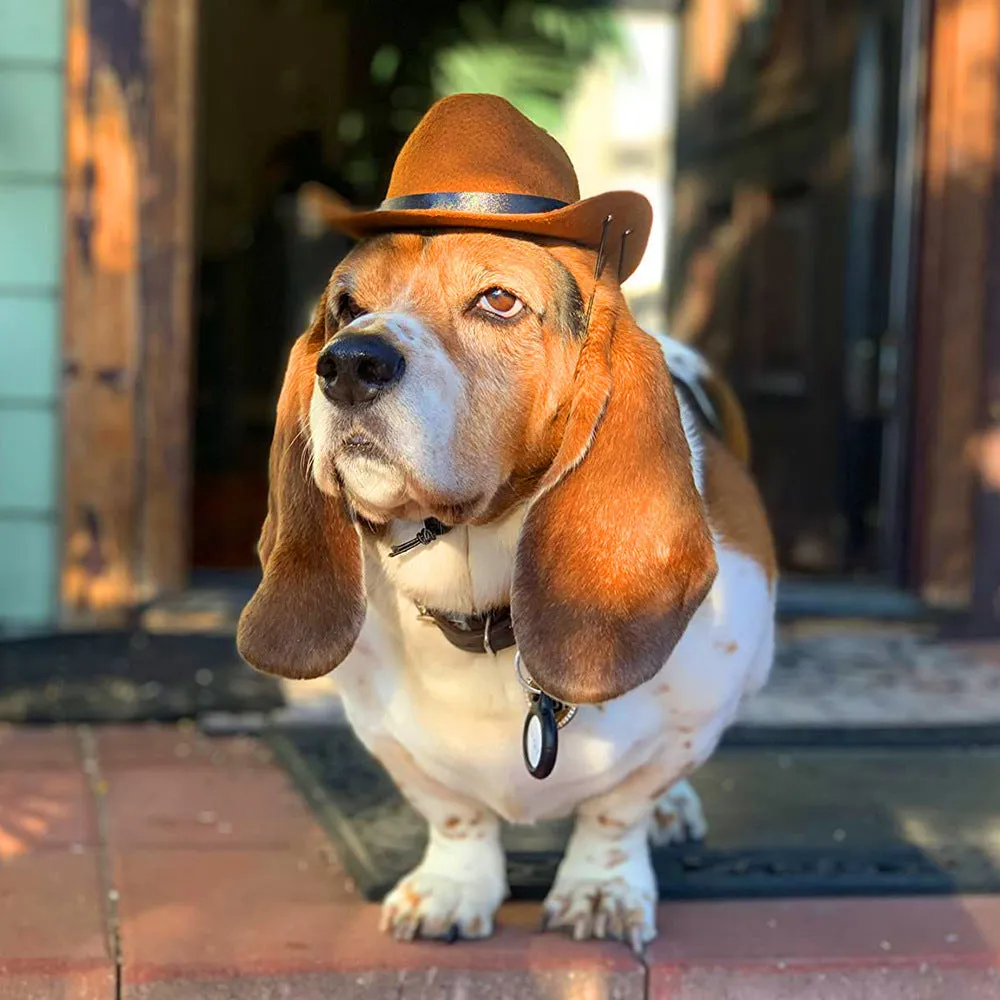 Adjustable dog cowboy hat in black, brown, burgundy, or coffee colours with rounded brim and soft fabric