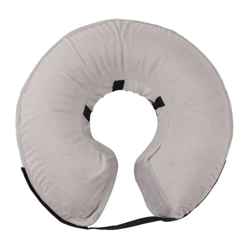 Blue inflatable recovery collar for a dog, showing soft cone alternative to plastic surgical collars.