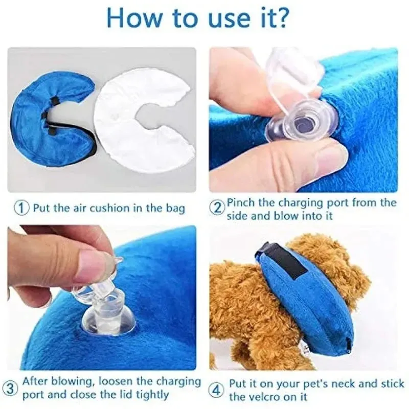 Blue inflatable recovery collar for a dog, showing soft cone alternative to plastic surgical collars.