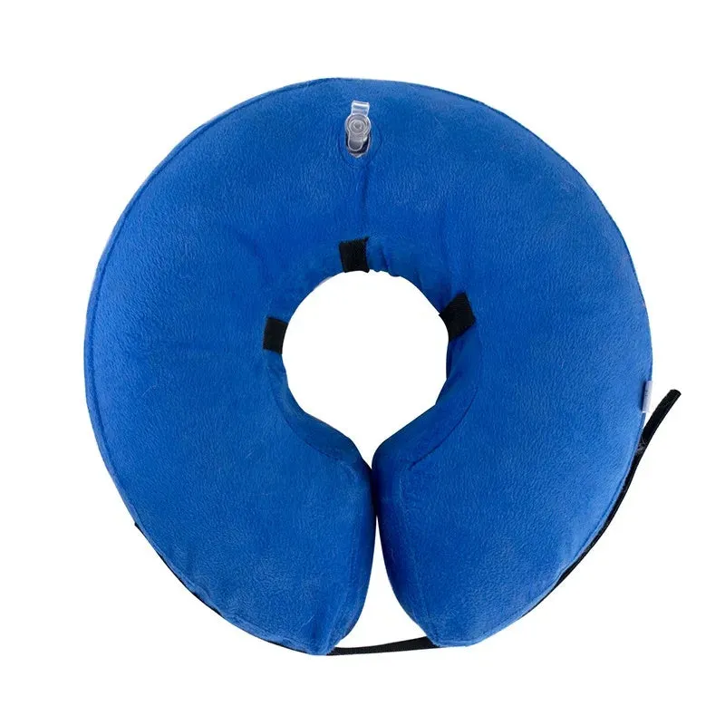 Blue inflatable recovery collar for a dog, showing soft cone alternative to plastic surgical collars.