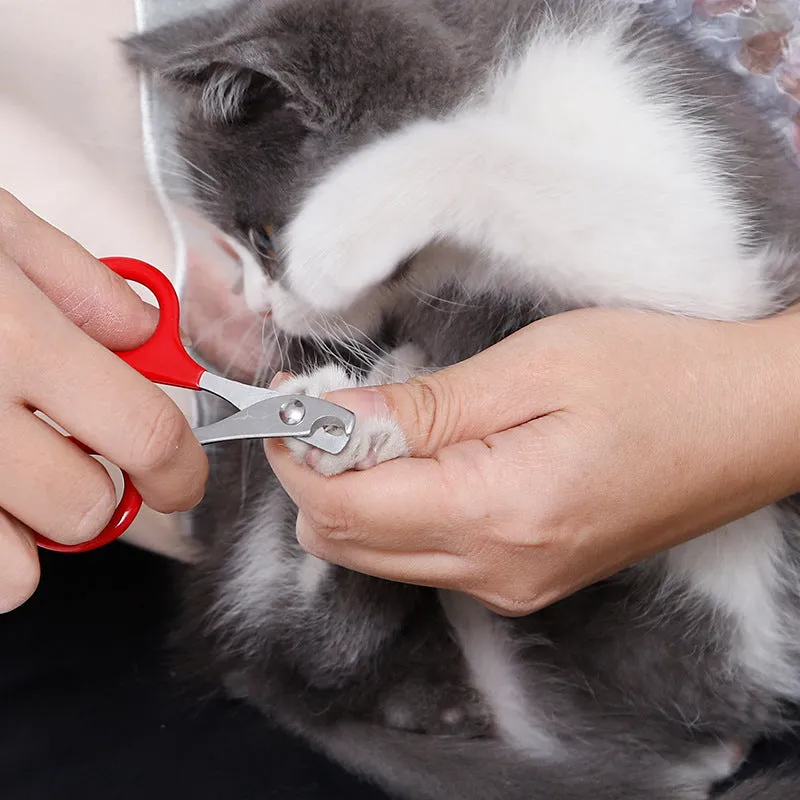 Stainless steel pet nail clippers with coloured plastic and rubber handle for dogs and cats