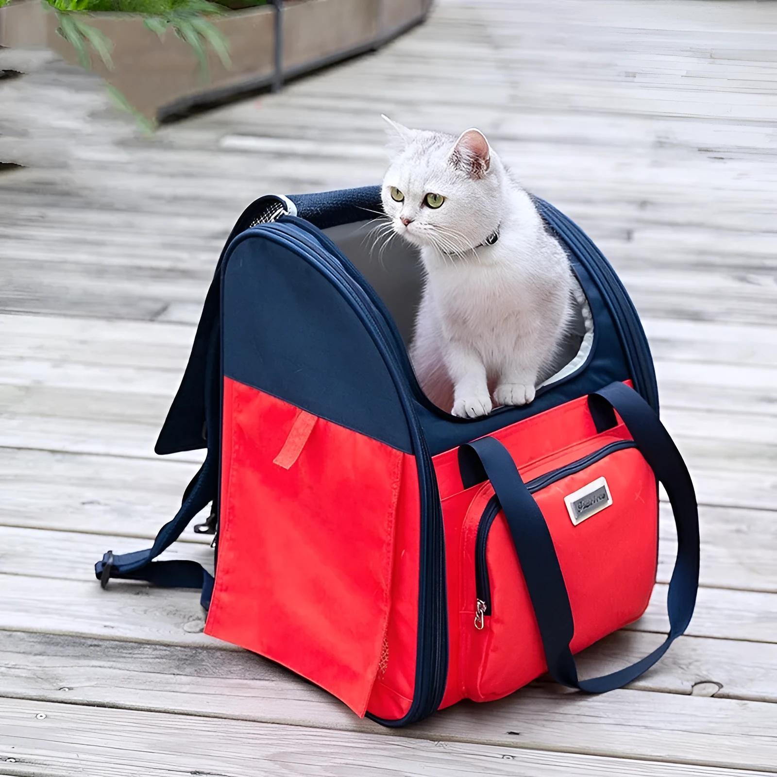 Dark blue red waterproof pet backpack carrier for small dogs or cats, shown with breathable mesh and aluminium buckle.