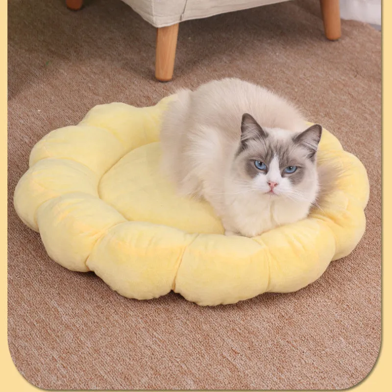 Square blue plush pet bed with one raised side for small dog or cat