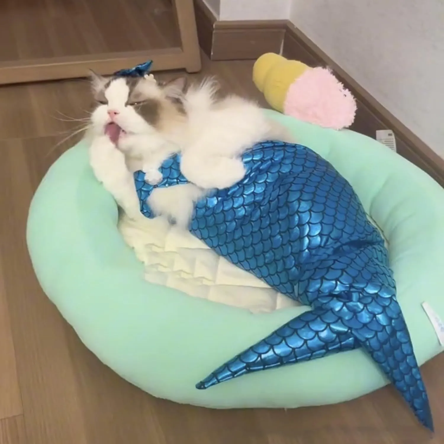 Blue mermaid costume on a small cat showing the long fishtail, scale pattern, and adjustable chest strap.