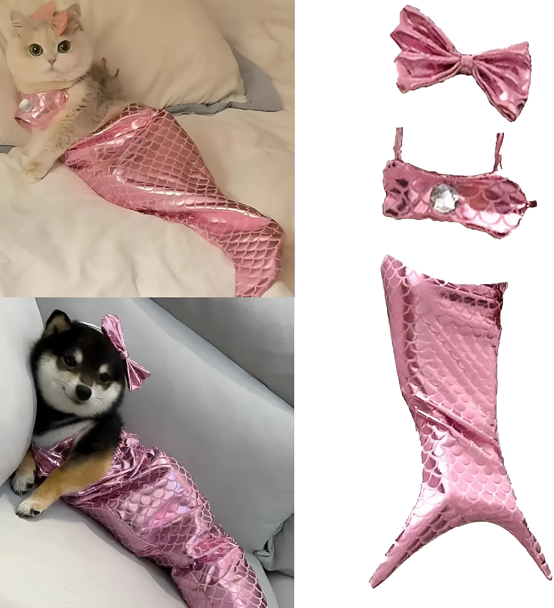 Blue mermaid costume on a small cat showing the long fishtail, scale pattern, and adjustable chest strap.