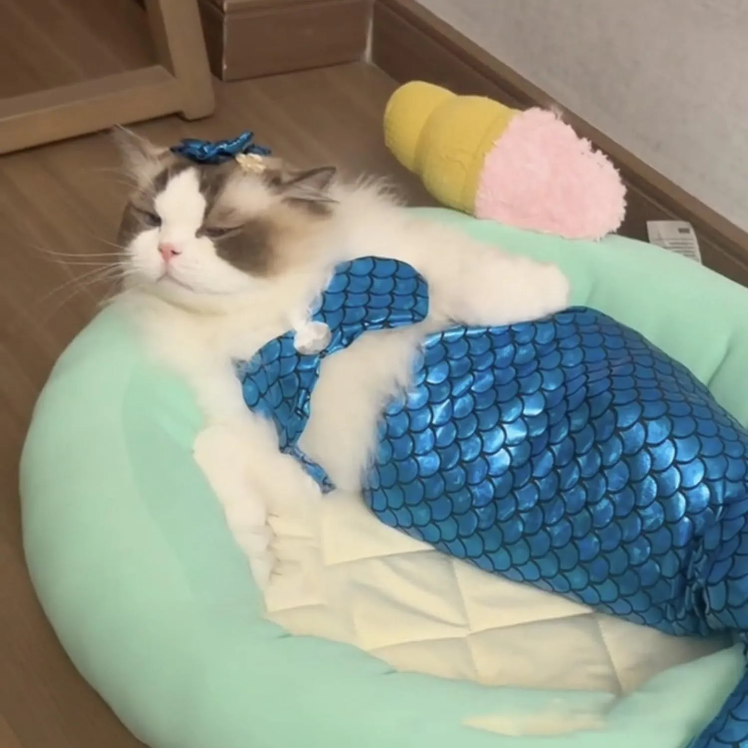 Blue mermaid costume on a small cat showing the long fishtail, scale pattern, and adjustable chest strap.