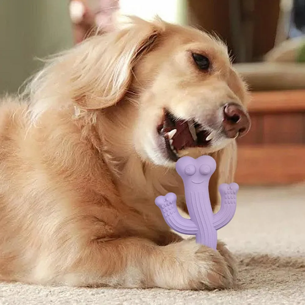 Cactus-shaped dog chew toy in bamboo fibre and rubber, shown in beige, blue, and purple colours.