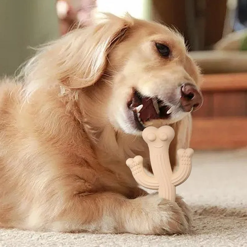 Cactus-shaped dog chew toy in bamboo fibre and rubber, shown in beige, blue, and purple colours.