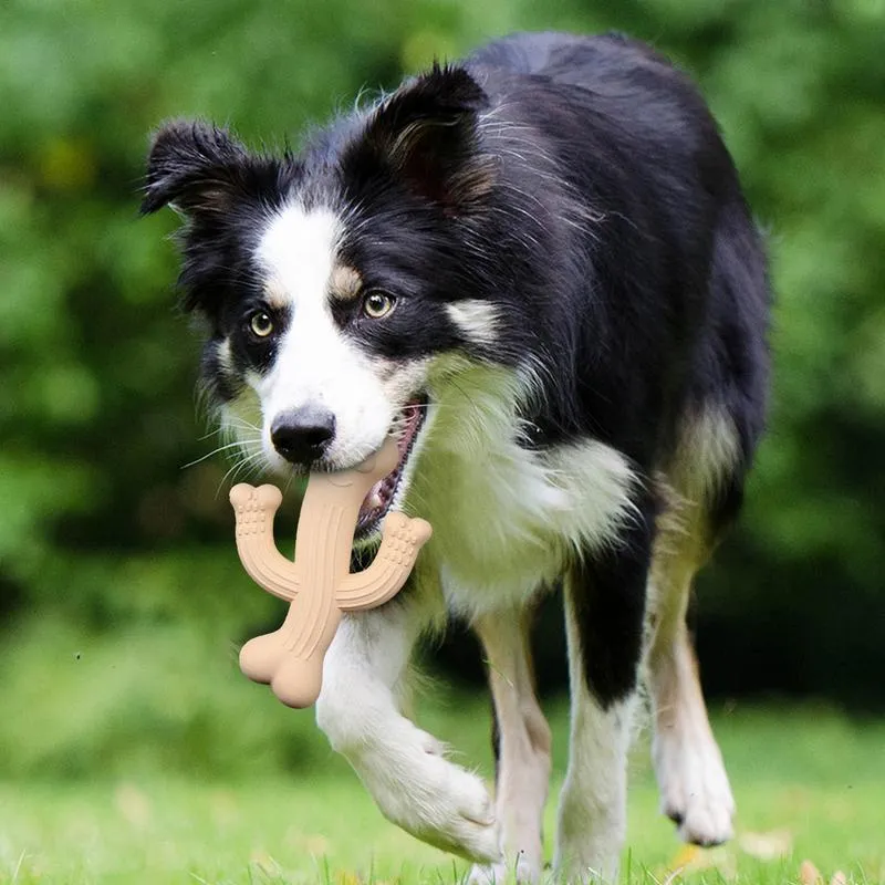 Cactus-shaped dog chew toy in bamboo fibre and rubber, shown in beige, blue, and purple colours.