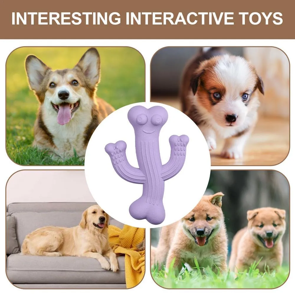 Cactus-shaped dog chew toy in bamboo fibre and rubber, shown in beige, blue, and purple colours.