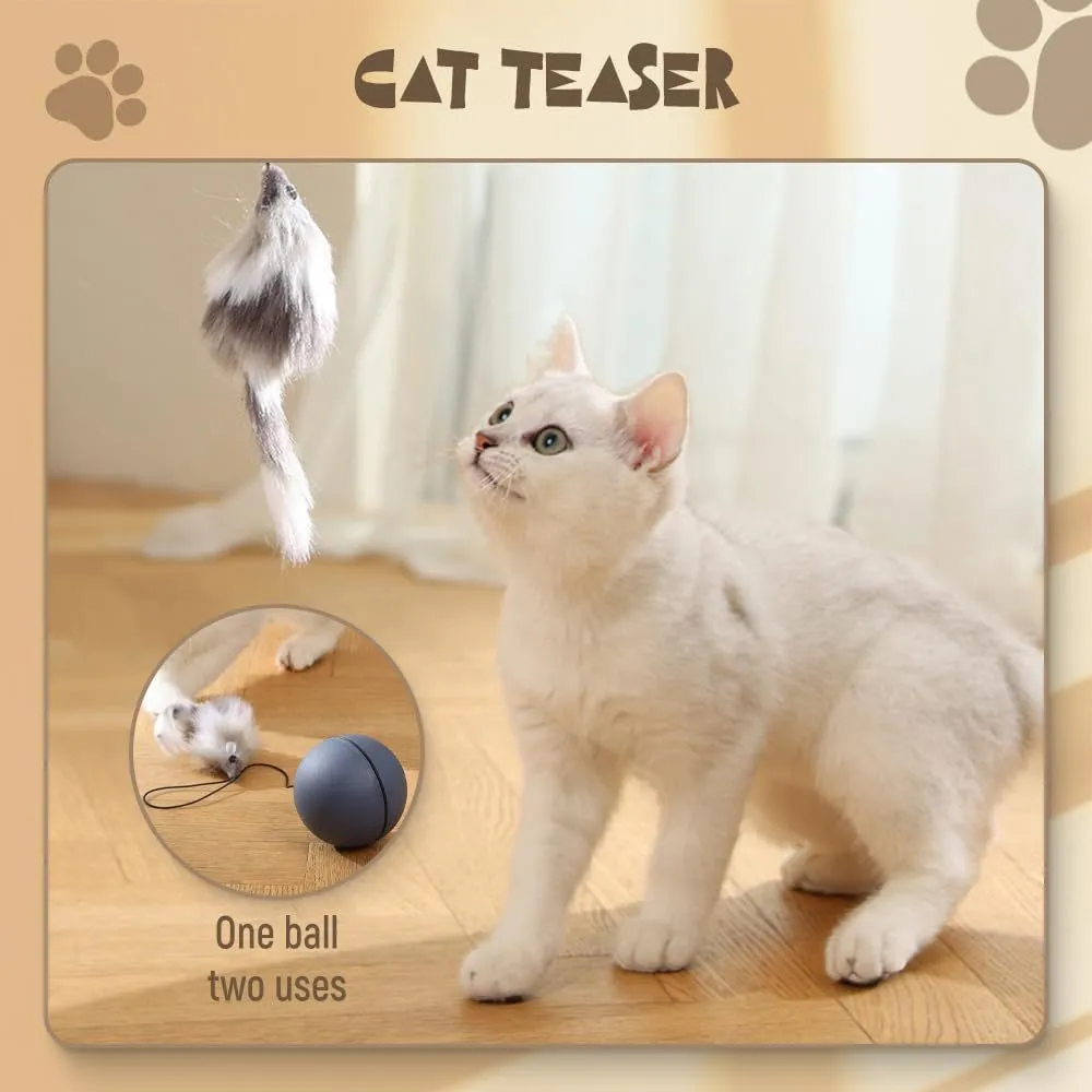 Blue and orange automatic rolling ball pet toy for cats and dogs on a wooden floor.