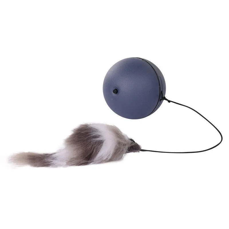 Blue and orange automatic rolling ball pet toy for cats and dogs on a wooden floor.
