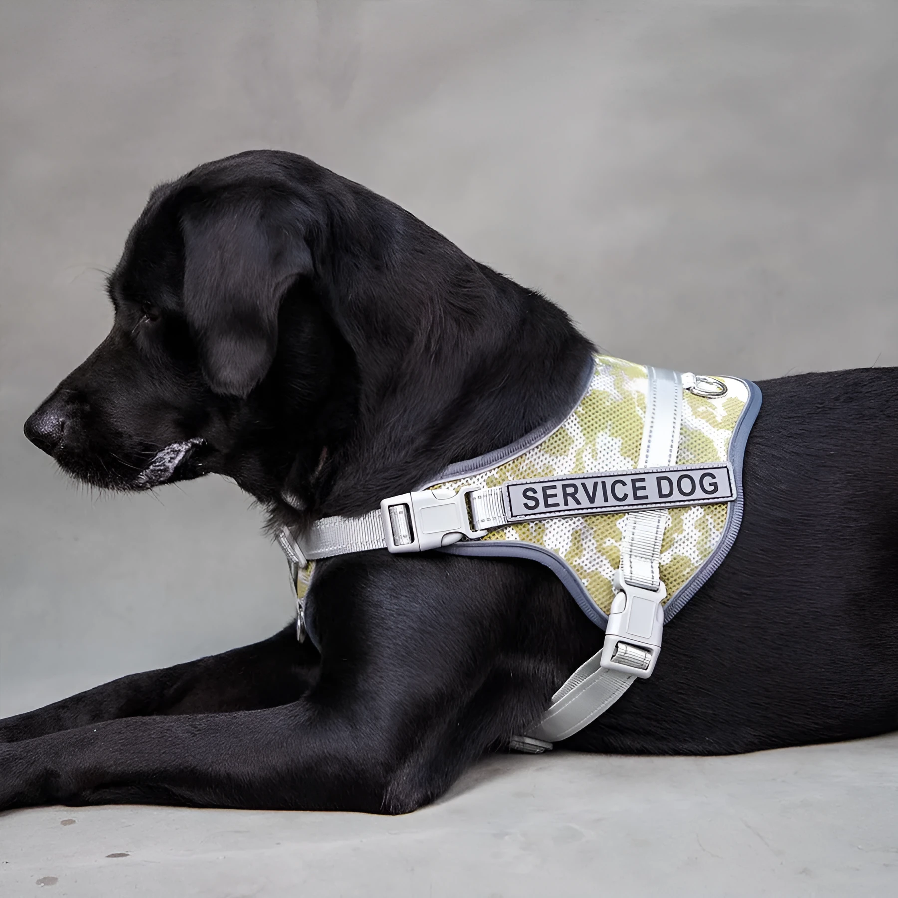 Colourful reflective pet harness with anti-strangulation neck protection in polyester material