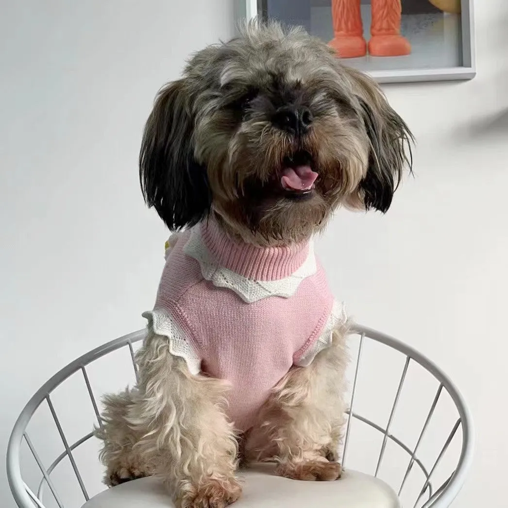 Pink knitted dog sweater with a flower blossom pattern, shown on a small dog.