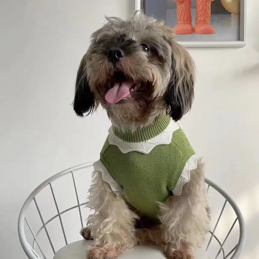Pink knitted dog sweater with a flower blossom pattern, shown on a small dog.