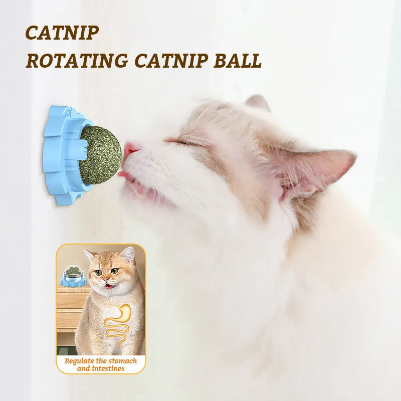 Orange, pink, and blue adhesive molar-shaped cat toys with a sticky base.
