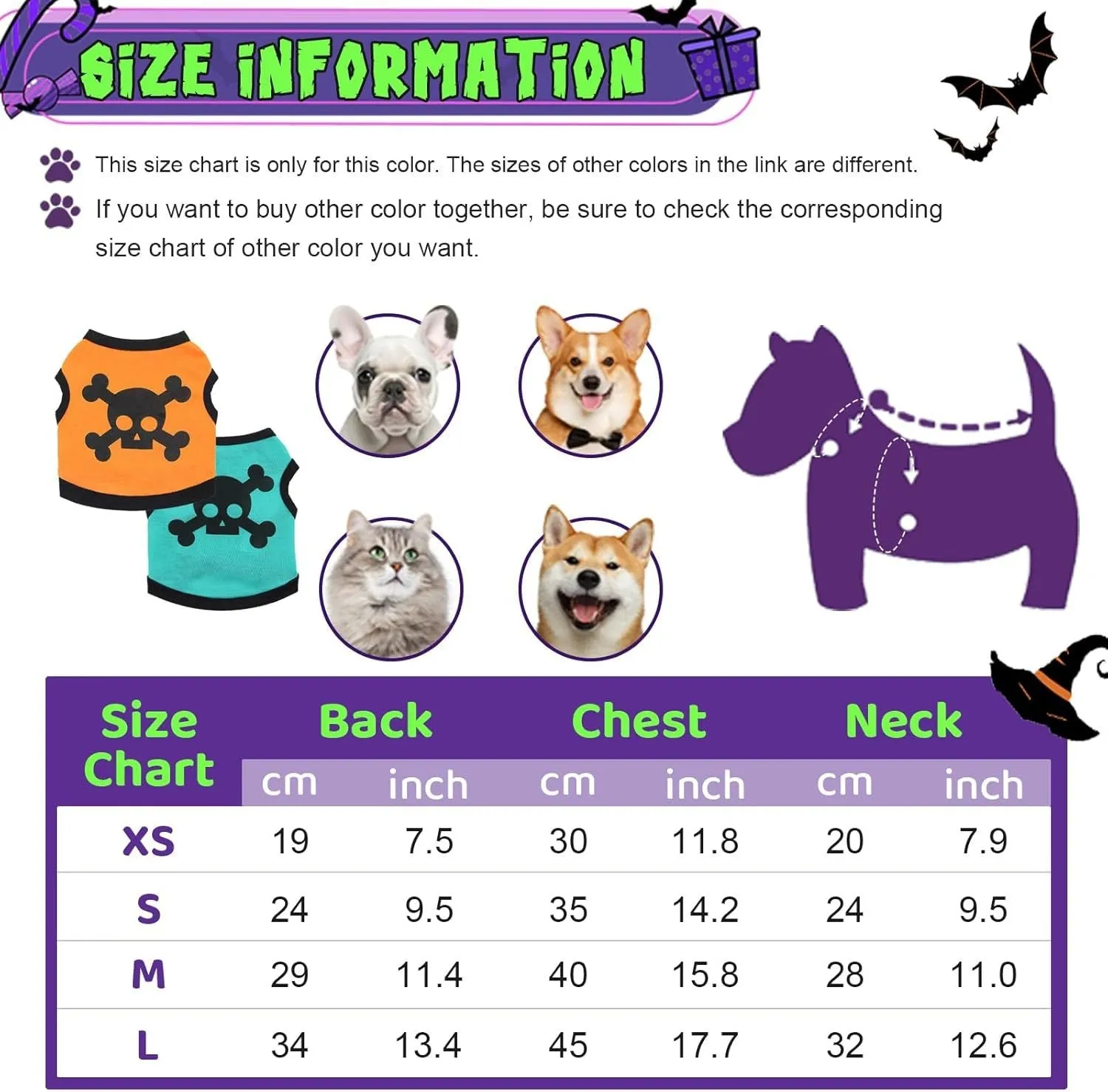 Blue Halloween dog vest with skull bones pattern on a small dog