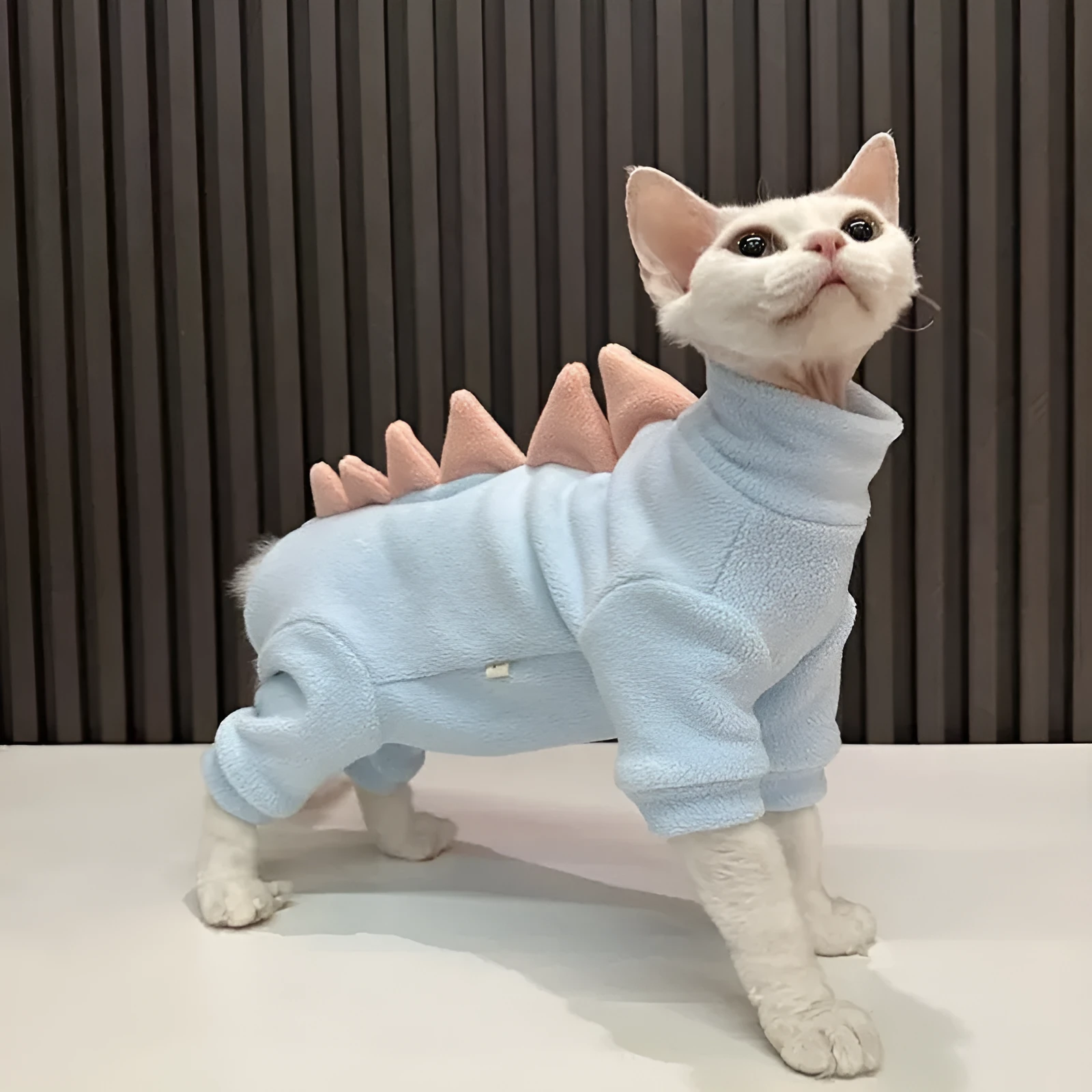 Sphynx cat wearing dinosaur costume with tail and spikes