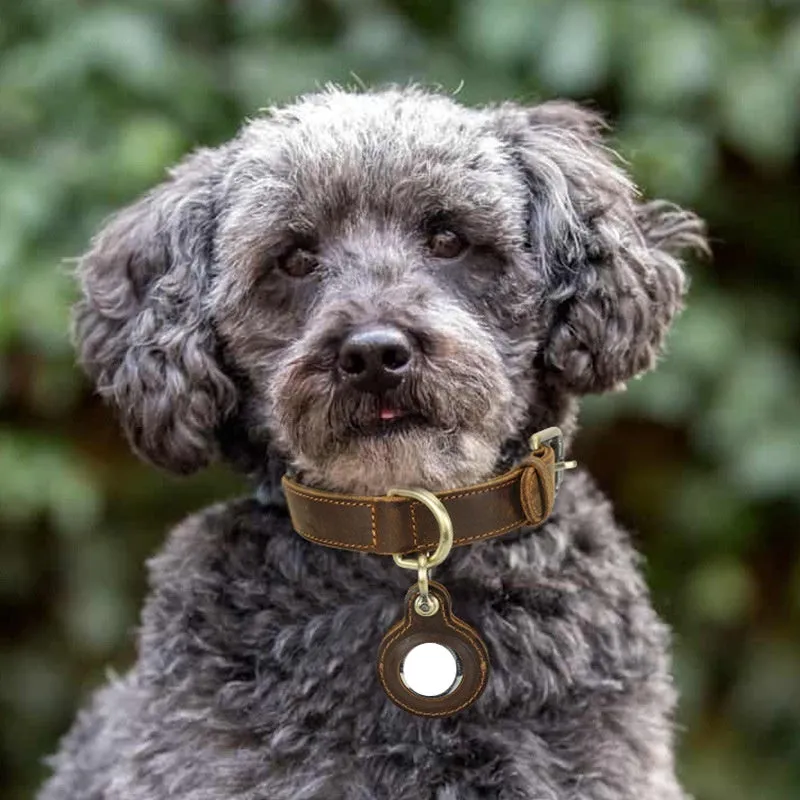 Brown retro style handmade genuine leather dog collar with halter positioning design