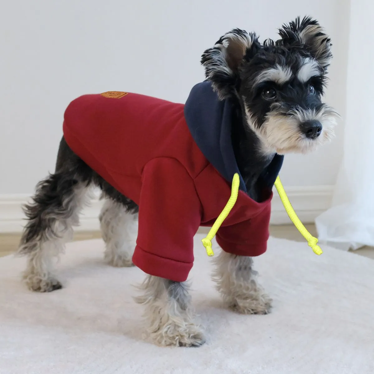 Dark red hooded pet pullover with contrasting colour panels, shown on dog model