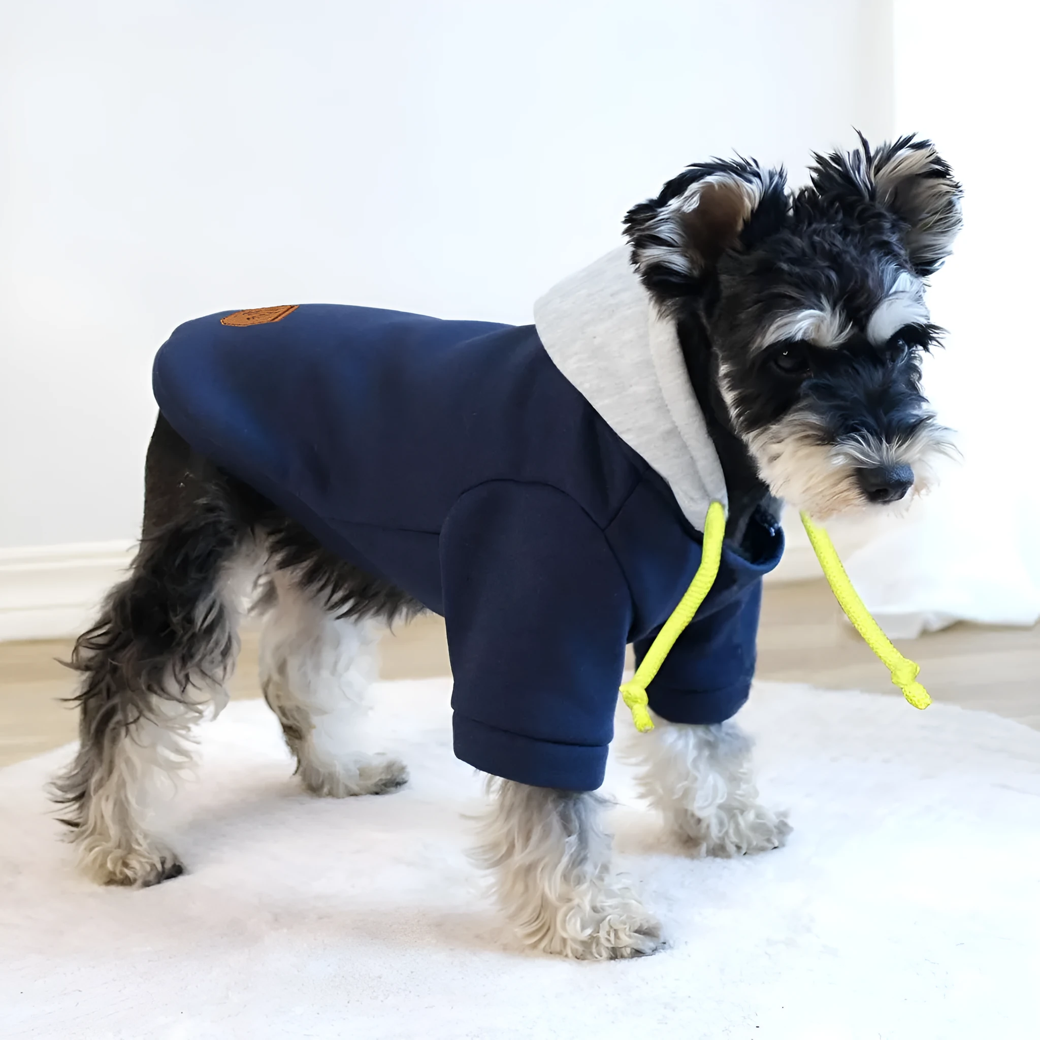 Dark red hooded pet pullover with contrasting colour panels, shown on dog model