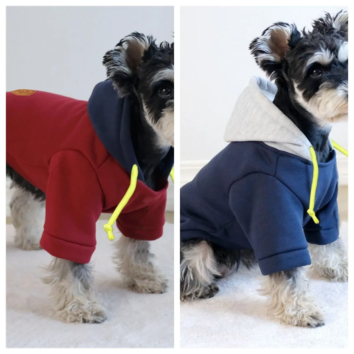 Dark red hooded pet pullover with contrasting colour panels, shown on dog model