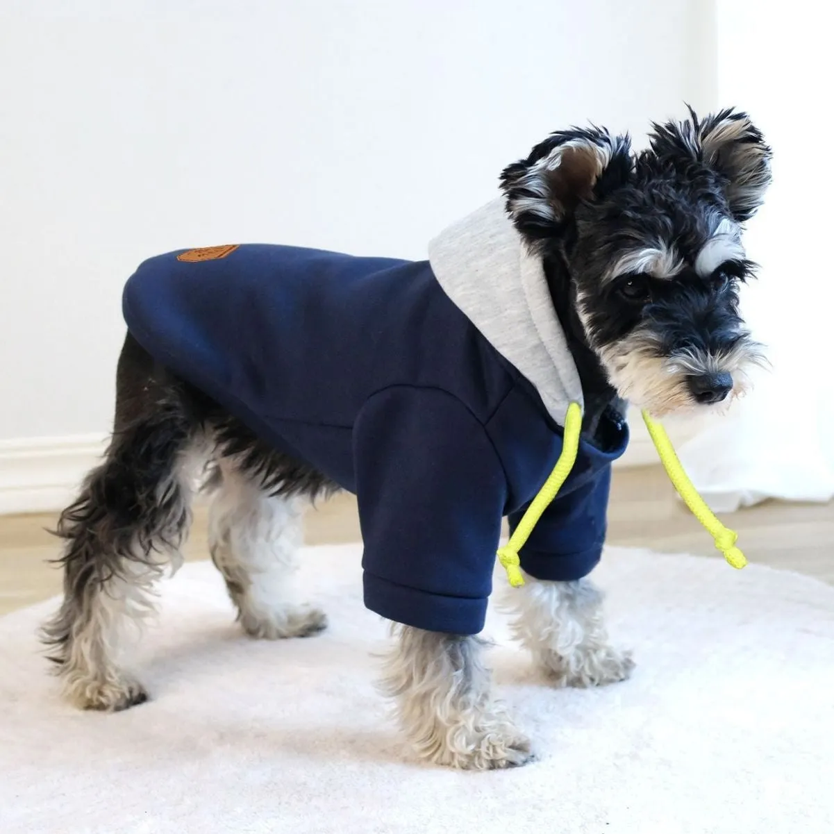 Dark red hooded pet pullover with contrasting colour panels, shown on dog model